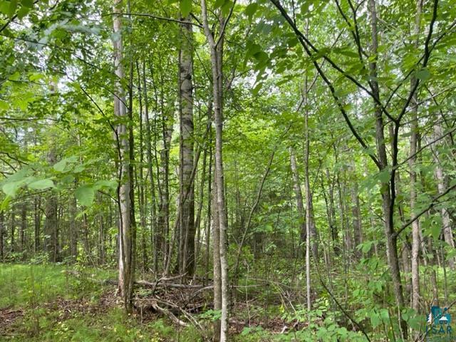 Eagle Lake Road Cromwell, MN 55726 - Photo 4 of 14 Gallery Image 4