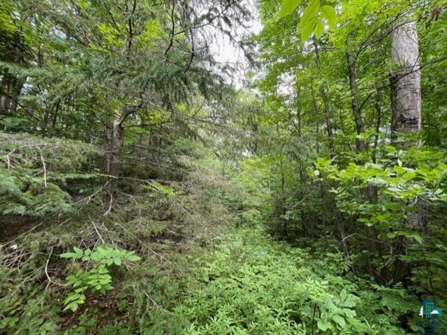 Eagle Lake Road Cromwell, MN 55726 - Photo 8 of 14 Gallery Image 8