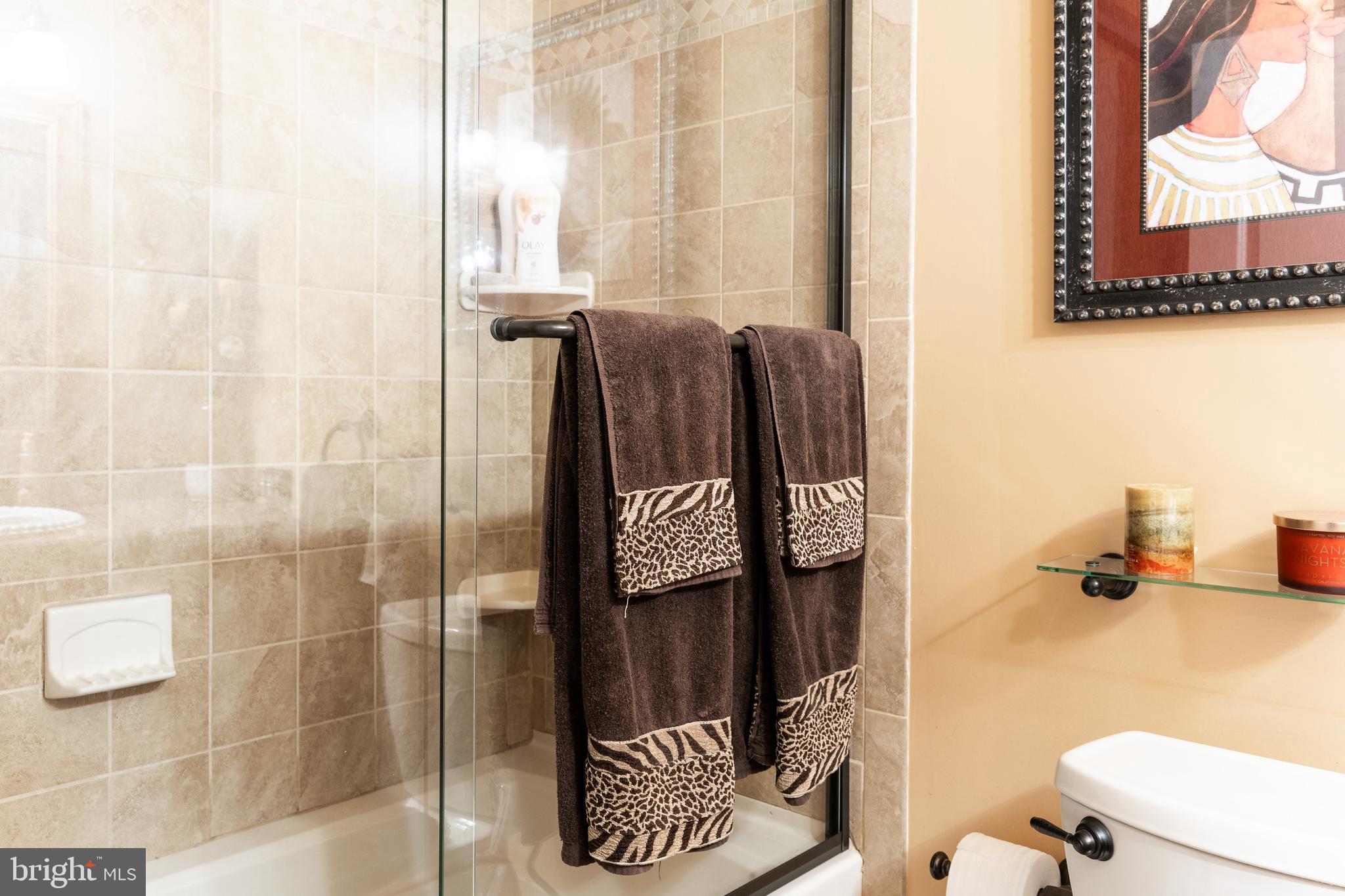 6550 Cornell Road Bryans Road, MD 20616 - Photo 22 of 26 HallBathroom
