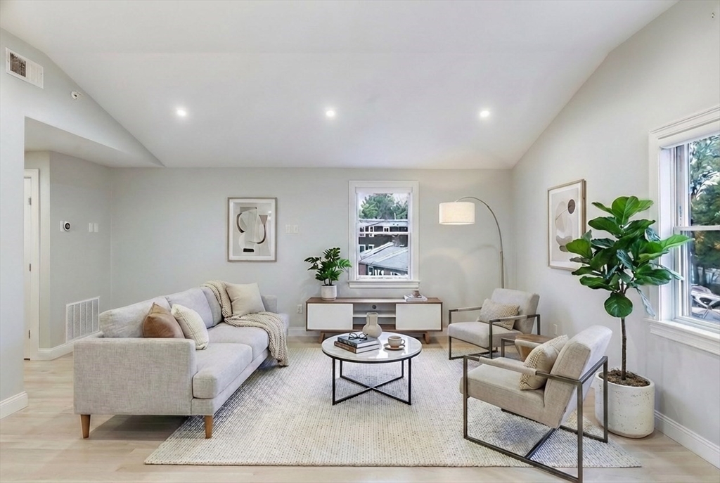 a living room with furniture potted plant and a lamp