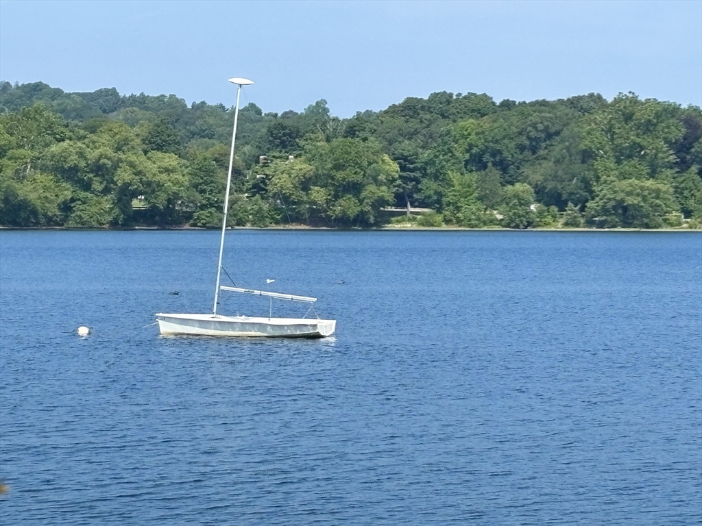 29 Goldsmith Street, Unit 3 Boston, MA 02130 - Photo 13 of 21