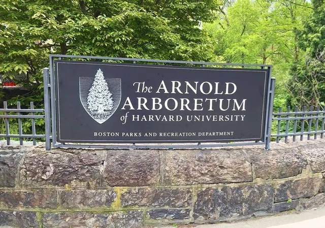 $795,000 | 29 Goldsmith Street, Unit 3, Boston, MA 02130