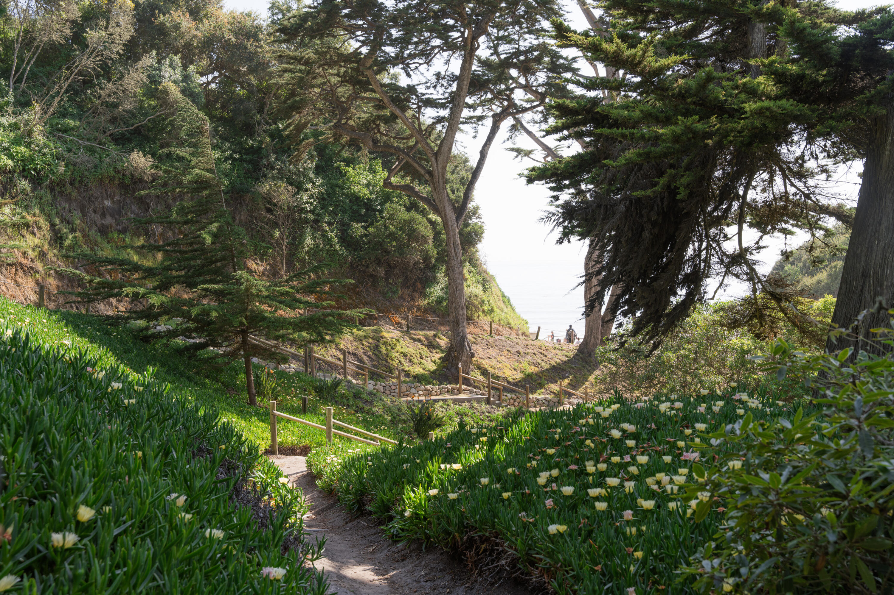 4020 Cuervo Avenue Santa Barbara, CA 93110 - Photo 45 of 48 a backyard of a house with lots of green space and mountain view
