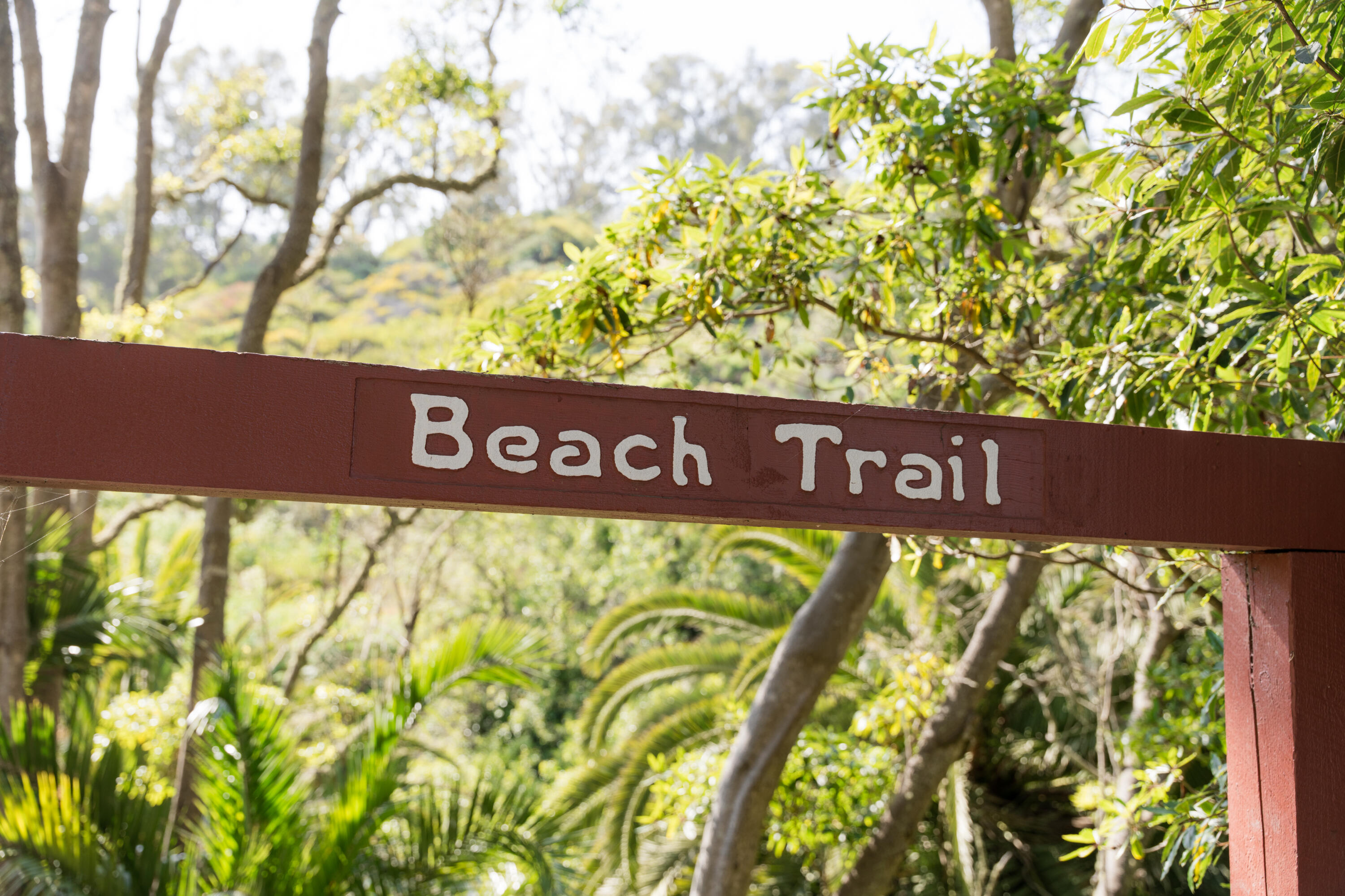 4020 Cuervo Avenue Santa Barbara, CA 93110 - Photo 46 of 48 Beach access