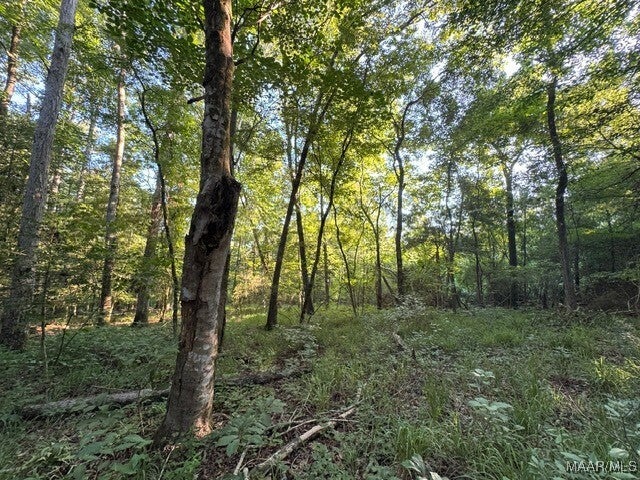 1205 Turkey Creek Road Luverne, AL 36049 - Photo 30 of 51 Gallery Image 30