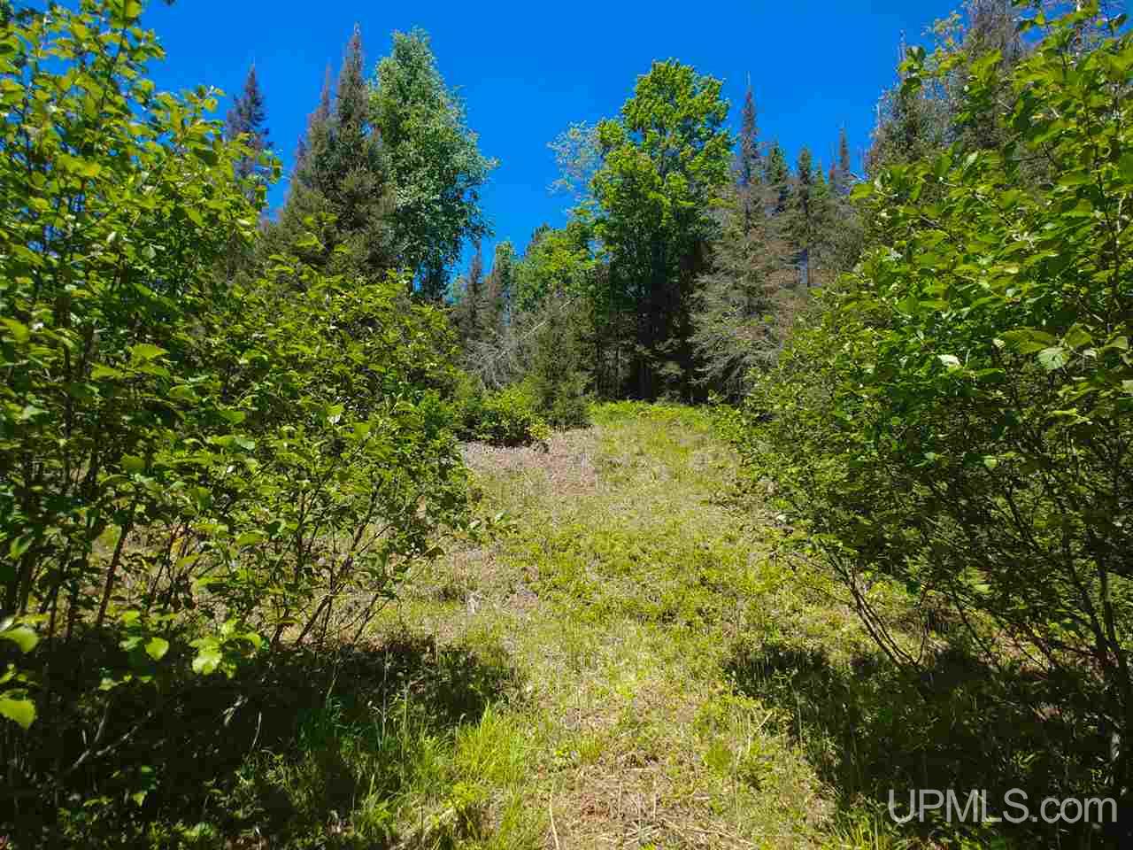 80-acres County Rd FFH Ishpeming, MI 49849 - Photo 27 of 28