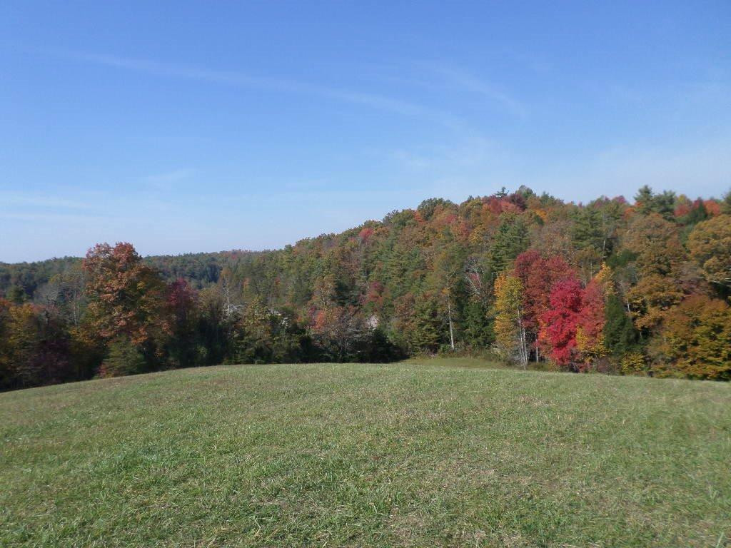 1414 Heizer Hill Road Wellington, KY 40387 - Photo 40 of 46 Photo 40