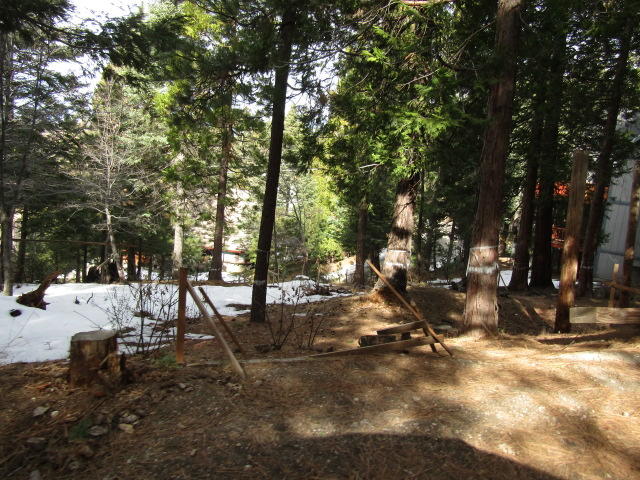 166 Golf Course Road Lake Arrowhead, CA 92391 - Photo 10 of 20 a view of a park with large trees