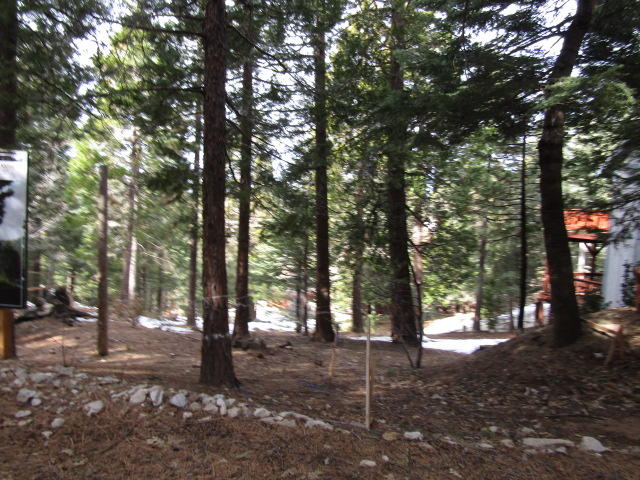 166 Golf Course Road Lake Arrowhead, CA 92391 - Photo 12 of 20 a view of a forest with trees