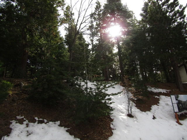 166 Golf Course Road Lake Arrowhead, CA 92391 - Photo 16 of 20 a view of a yard covered in snow