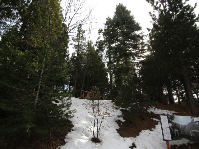 166 Golf Course Road Lake Arrowhead, CA 92391 - Photo 17 of 20 a view of backyard with sitting area