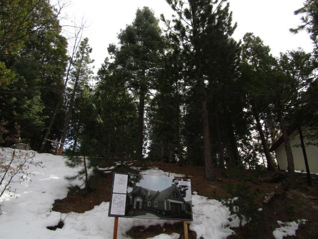 166 Golf Course Road Lake Arrowhead, CA 92391 - Photo 18 of 20 a view of backyard with table and chairs and a large tree