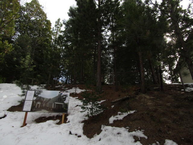166 Golf Course Road Lake Arrowhead, CA 92391 - Photo 19 of 20 a view of backyard with table and chairs and a large tree