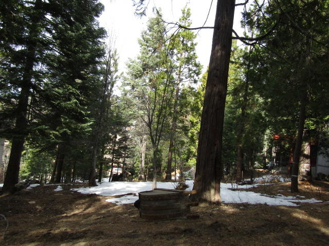 166 Golf Course Road Lake Arrowhead, CA 92391 - Photo 8 of 20 a view of a yard with a tree