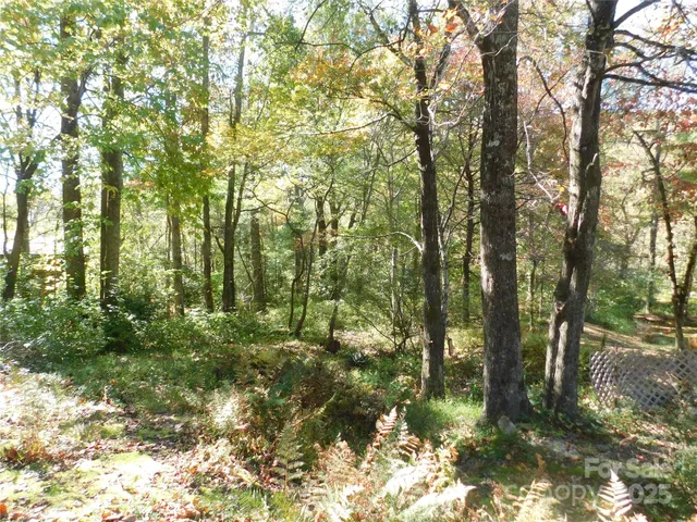 a backyard of a house with large trees and plants