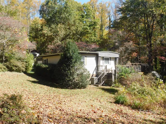 a view of a yard with plants and large trees