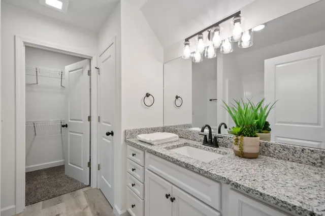 a bathroom with a granite countertop sink a potted plant and a shower