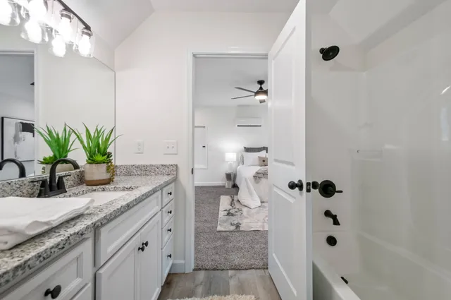 a bathroom with a granite countertop sink a mirror a potted plant and a shower