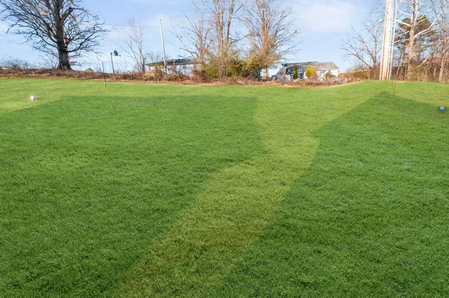 a view of yard with trees
