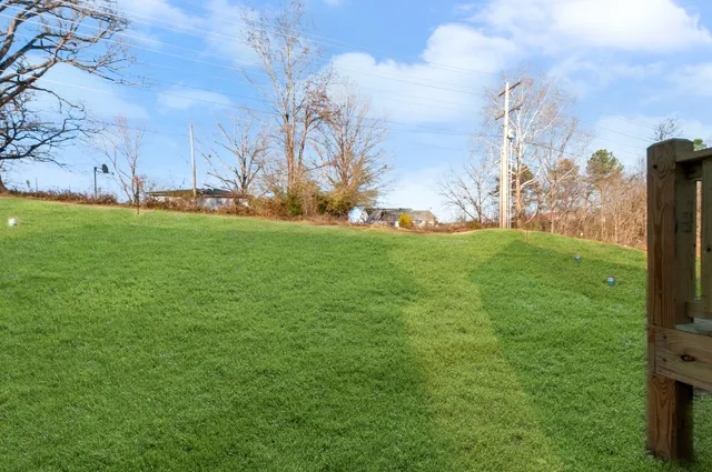 a view of a house with backyard and a tree