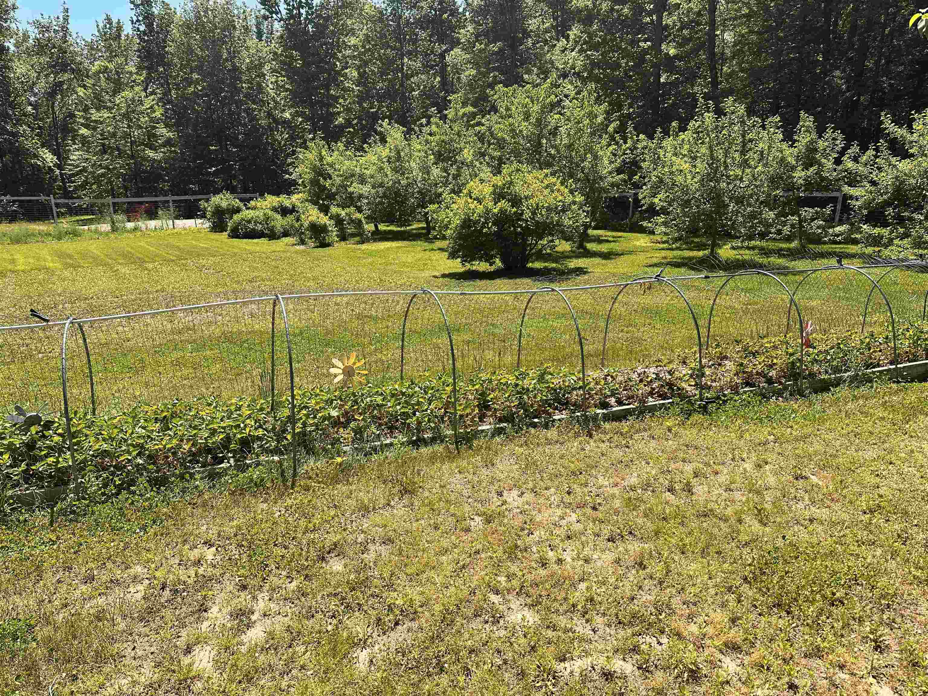 378 Silver Street Middleton, NH 03887 - Photo 13 of 52