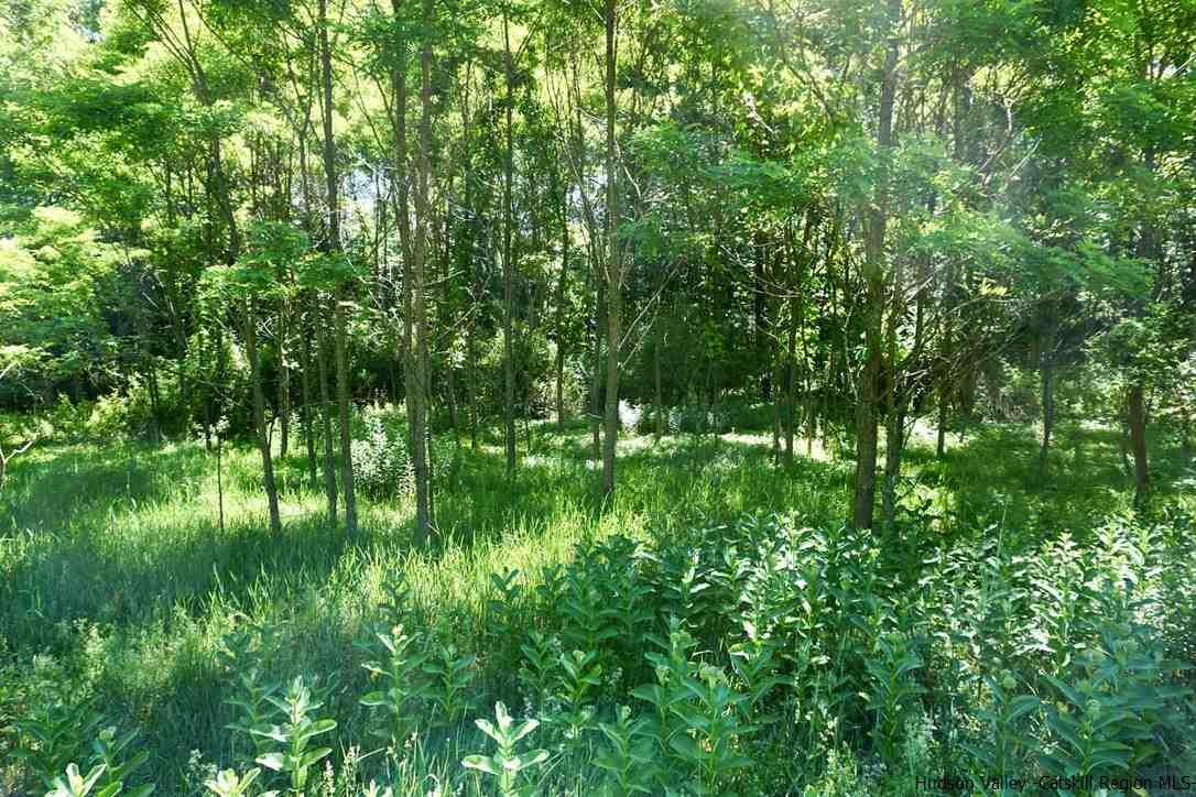 Tbd Lot 1 Tbd Road Catskill, NY 12414 - Photo 11 of 32 Photo 13