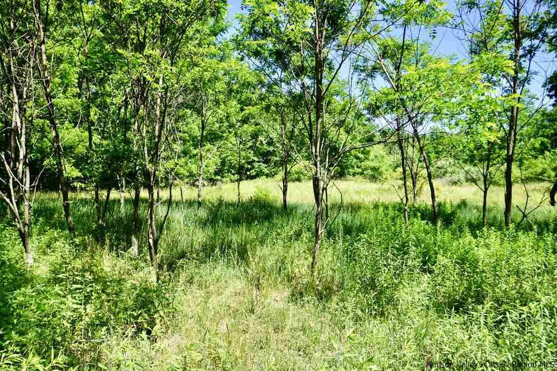 Tbd Lot 1 Tbd Road Catskill, NY 12414 - Photo 12 of 32 Photo 14