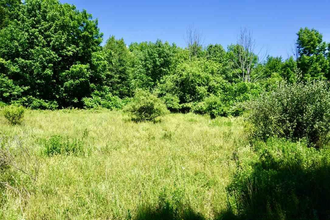 Tbd Lot 1 Tbd Road Catskill, NY 12414 - Photo 13 of 32 Photo 15
