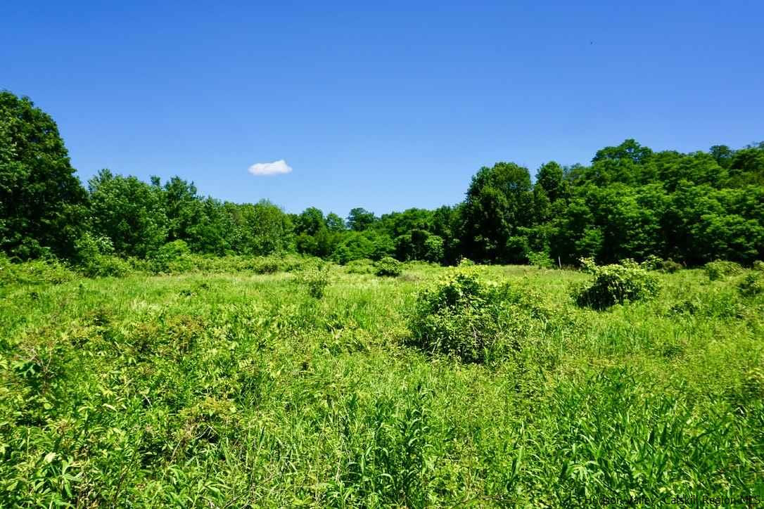 Tbd Lot 1 Tbd Road Catskill, NY 12414 - Photo 15 of 32 Photo 18