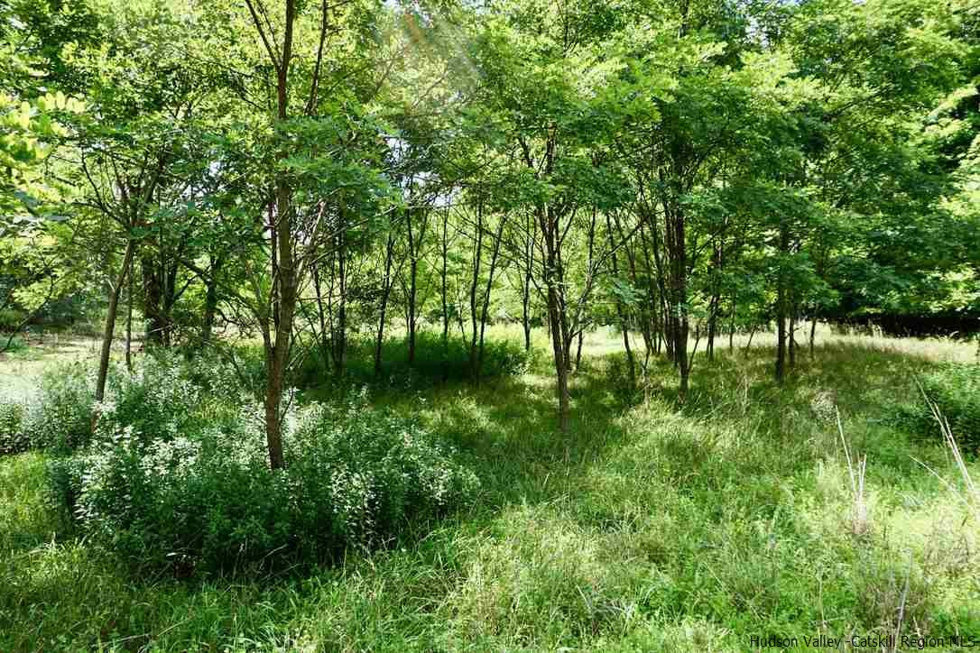 Tbd Lot 1 Tbd Road Catskill, NY 12414 - Photo 16 of 32 Photo 19