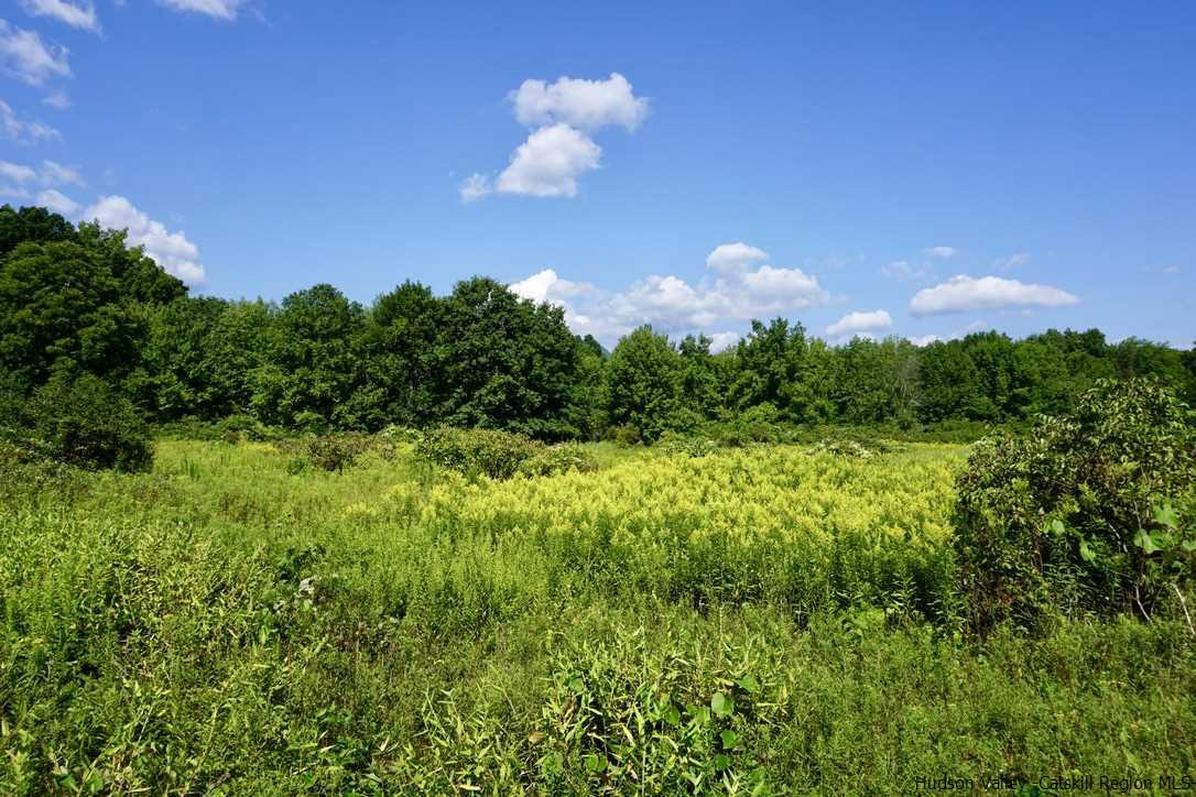 Tbd Lot 1 Tbd Road Catskill, NY 12414 - Photo 18 of 32 Photo 21