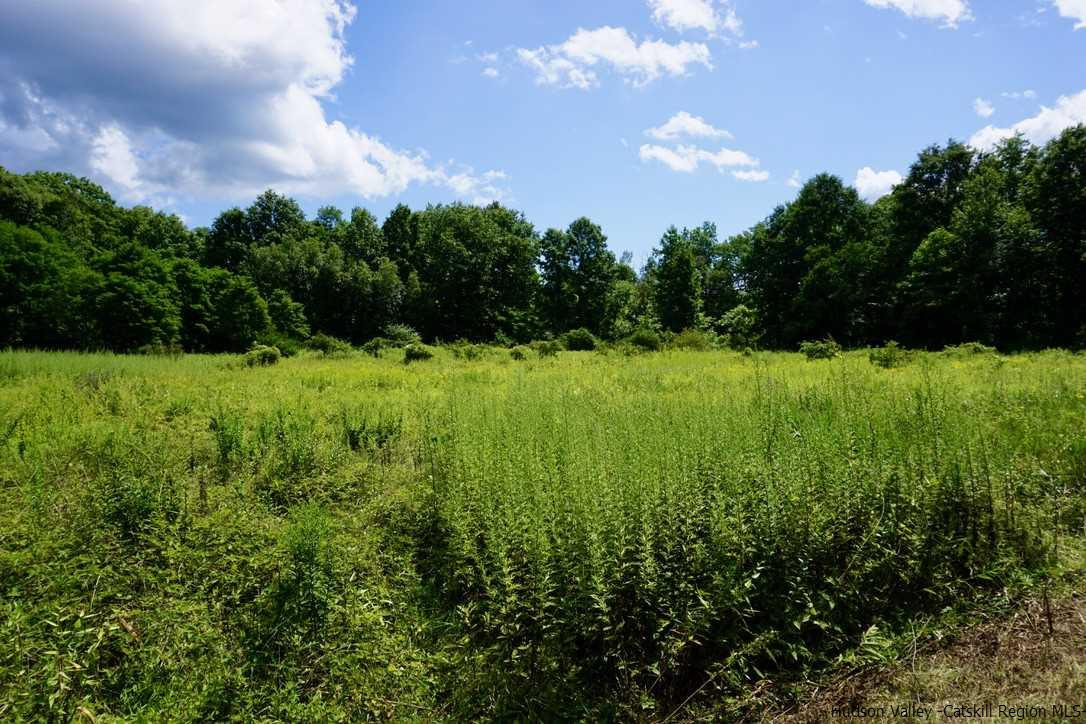 Tbd Lot 1 Tbd Road Catskill, NY 12414 - Photo 19 of 32 Photo 22