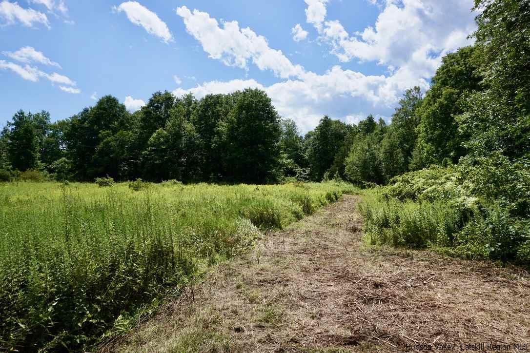 Tbd Lot 1 Tbd Road Catskill, NY 12414 - Photo 20 of 32 Photo 23