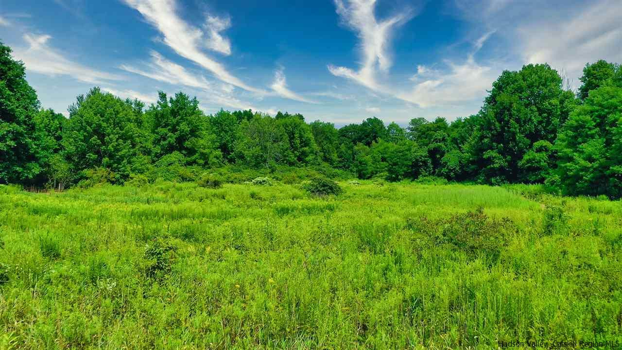 Tbd Lot 1 Tbd Road Catskill, NY 12414 - Photo 29 of 32 Photo 32