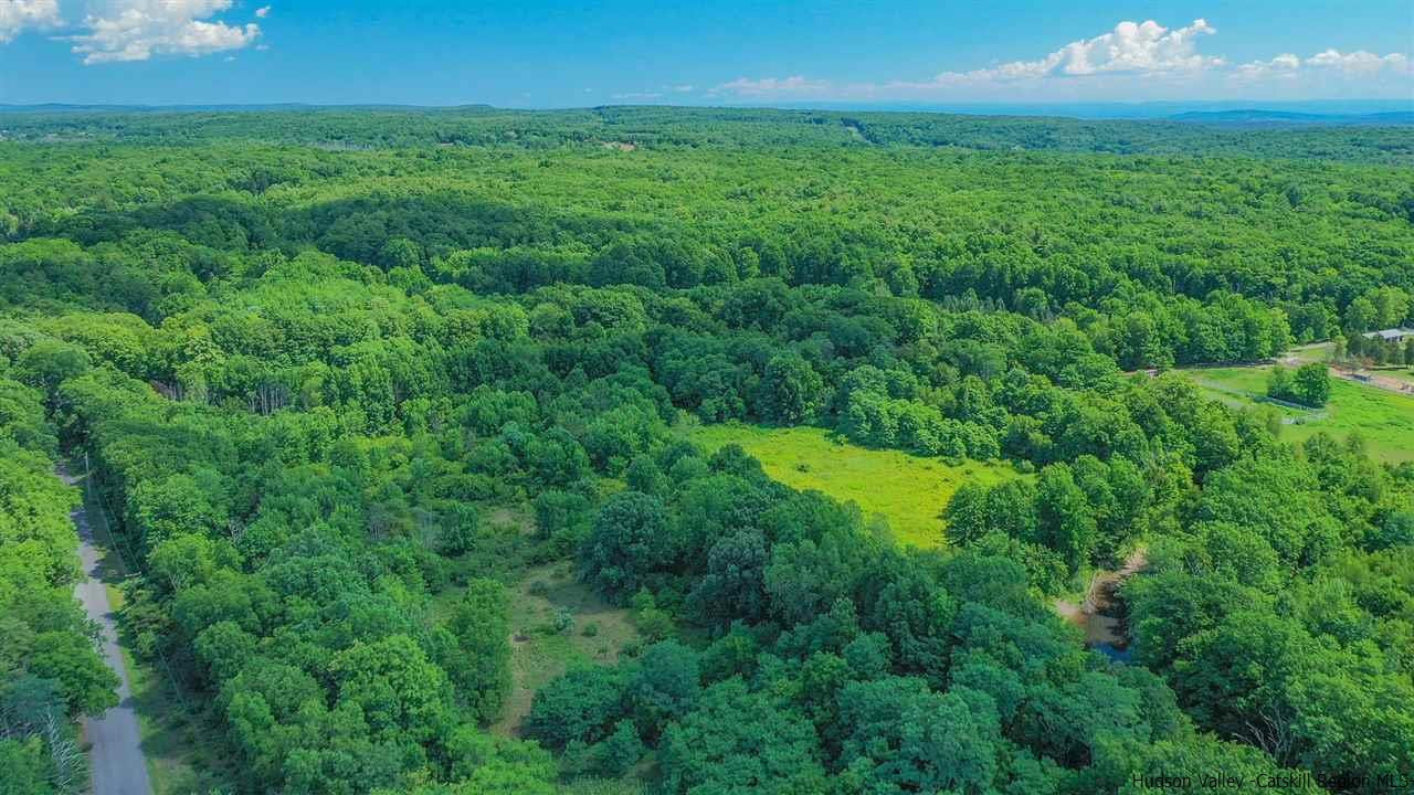 Tbd Lot 1 Tbd Road Catskill, NY 12414 - Photo 30 of 32 Photo 33