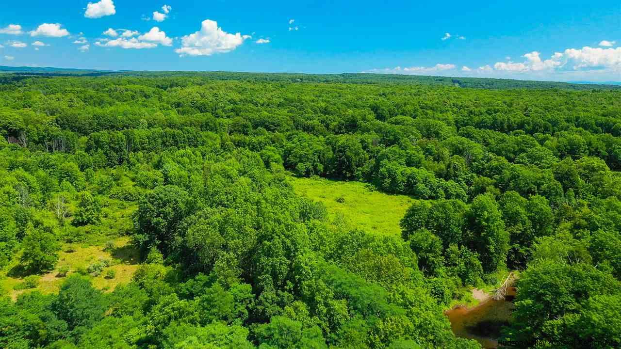 Tbd Lot 1 Tbd Road Catskill, NY 12414 - Photo 31 of 32 Photo 34