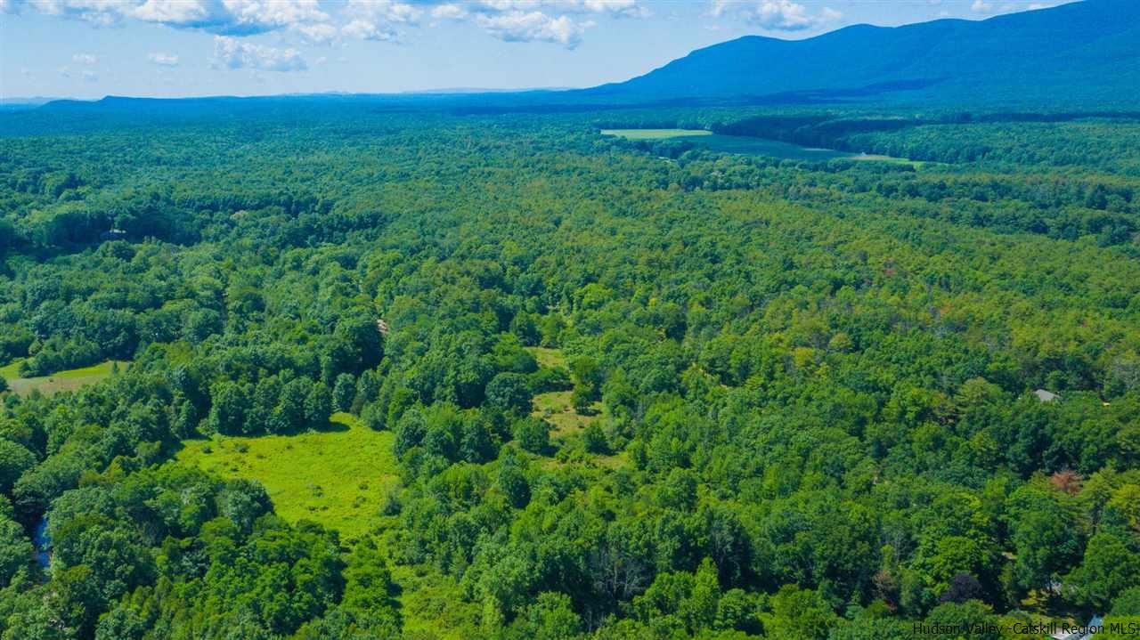 Tbd Lot 1 Tbd Road Catskill, NY 12414 - Photo 32 of 32 Photo 35