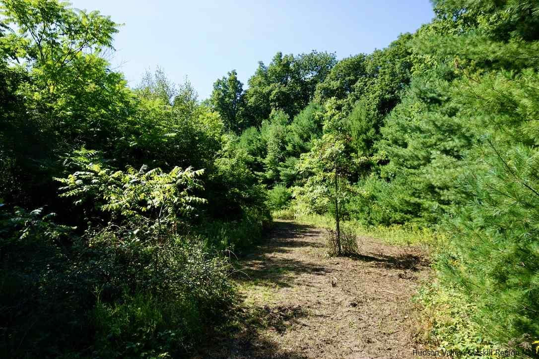 Tbd Lot 1 Tbd Road Catskill, NY 12414 - Photo 6 of 32 Photo 7