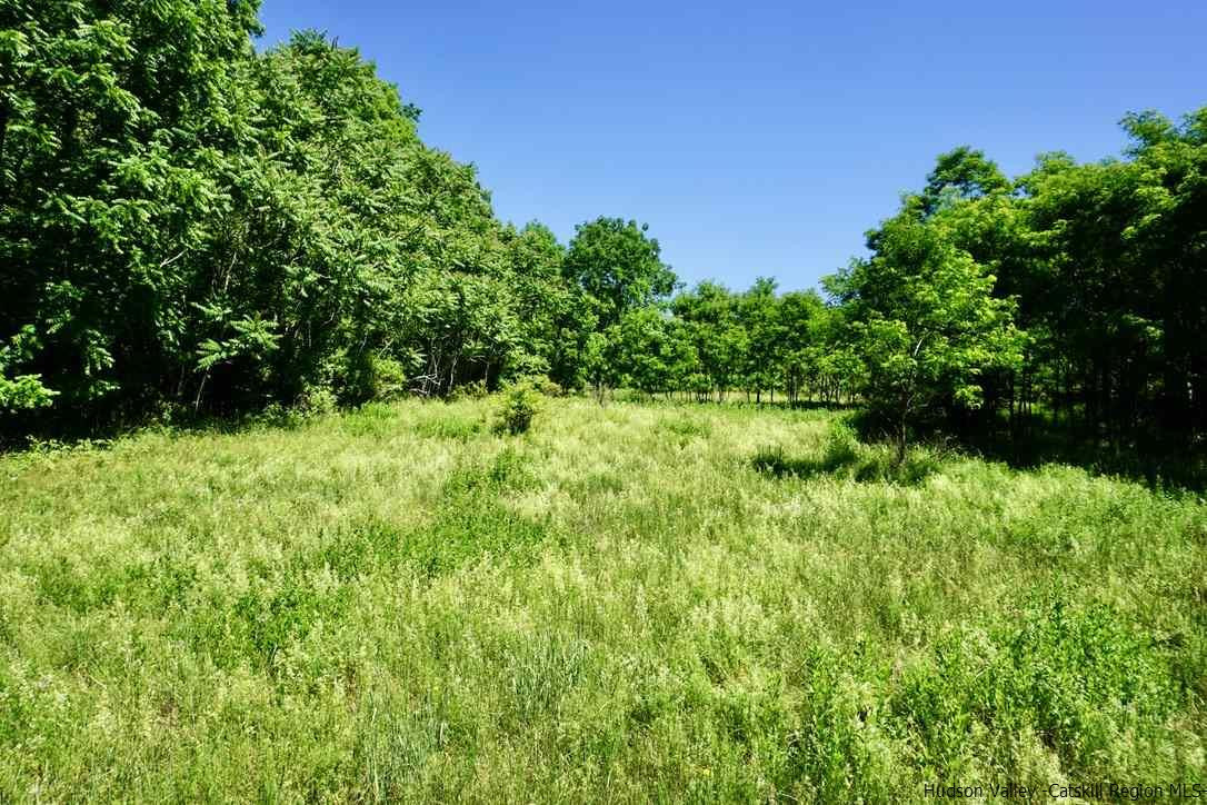 Tbd Lot 1 Tbd Road Catskill, NY 12414 - Photo 7 of 32 Photo 8