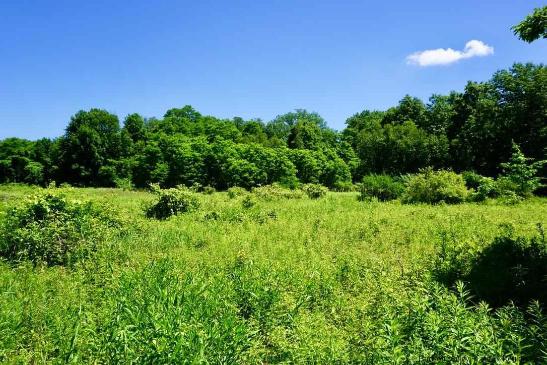 Tbd Lot 1 Tbd Road Catskill, NY 12414 - Photo 8 of 32 Photo 9