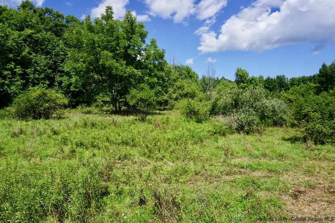 Tbd Lot 1 Tbd Road Catskill, NY 12414 - Photo 9 of 32 Photo 11