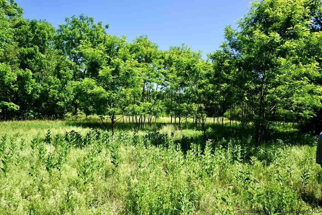 Tbd Lot 1 Tbd Road Catskill, NY 12414 - Photo 10 of 32 Photo 12