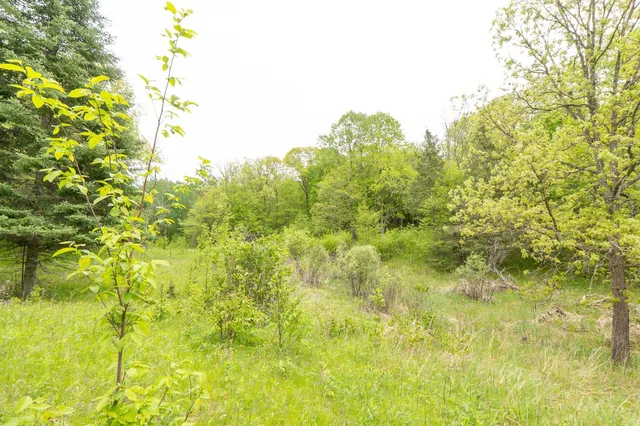 $443,000 | Tbd Tbd Knopf Road, Rochert, MN 56578