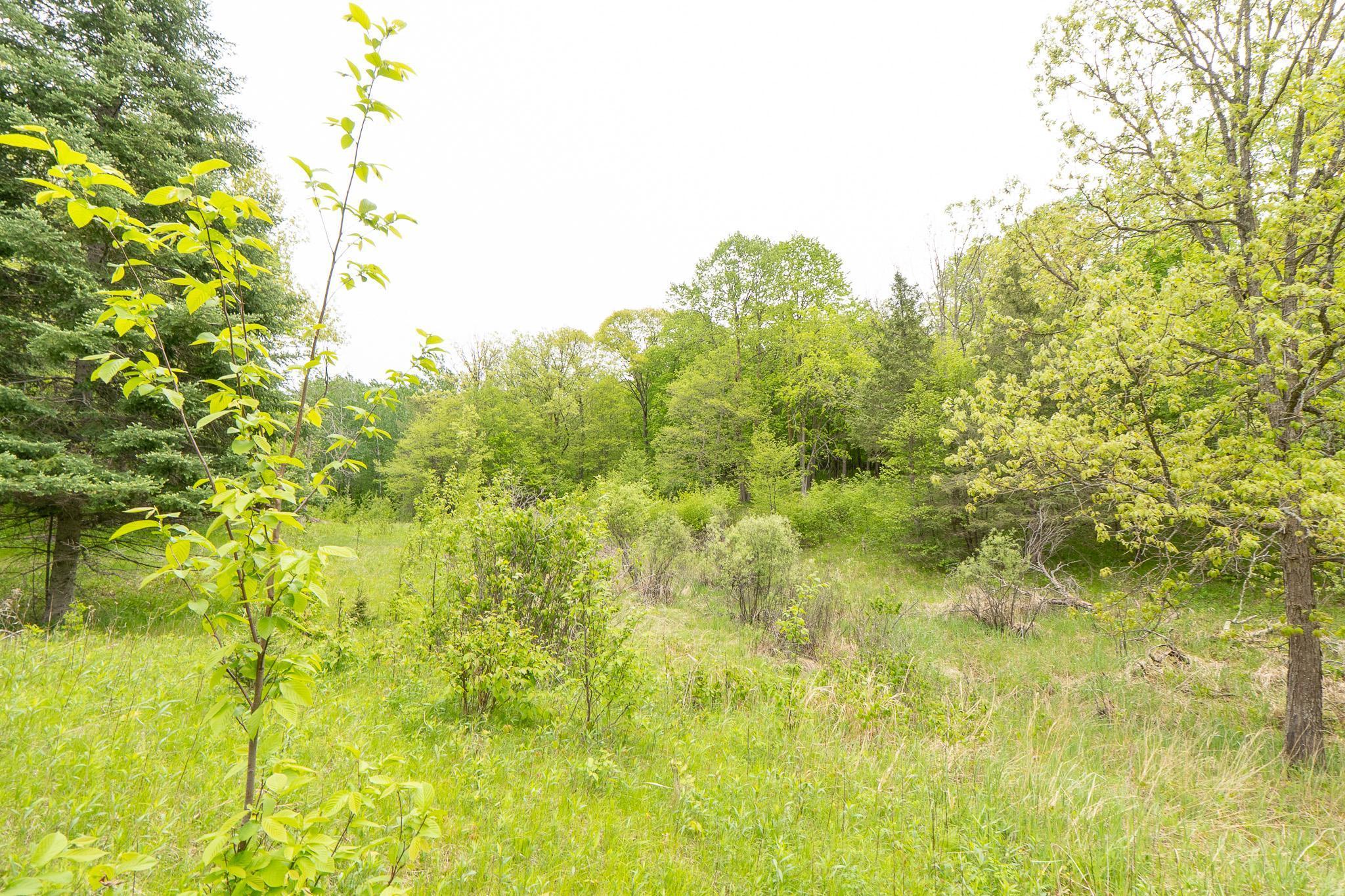 Tbd Tbd Knopf Road Rochert, MN 56578 - Photo 12 of 40