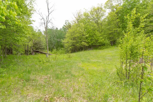 $443,000 | Tbd Tbd Knopf Road, Rochert, MN 56578