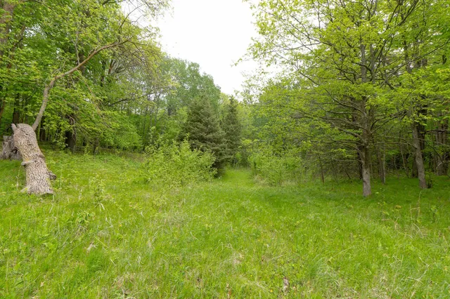 $443,000 | Tbd Tbd Knopf Road, Rochert, MN 56578