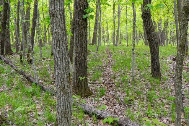 $443,000 | Tbd Tbd Knopf Road, Rochert, MN 56578