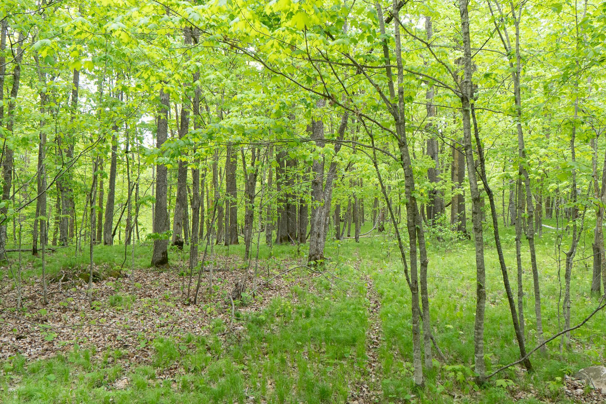 Tbd Tbd Knopf Road Rochert, MN 56578 - Photo 17 of 40