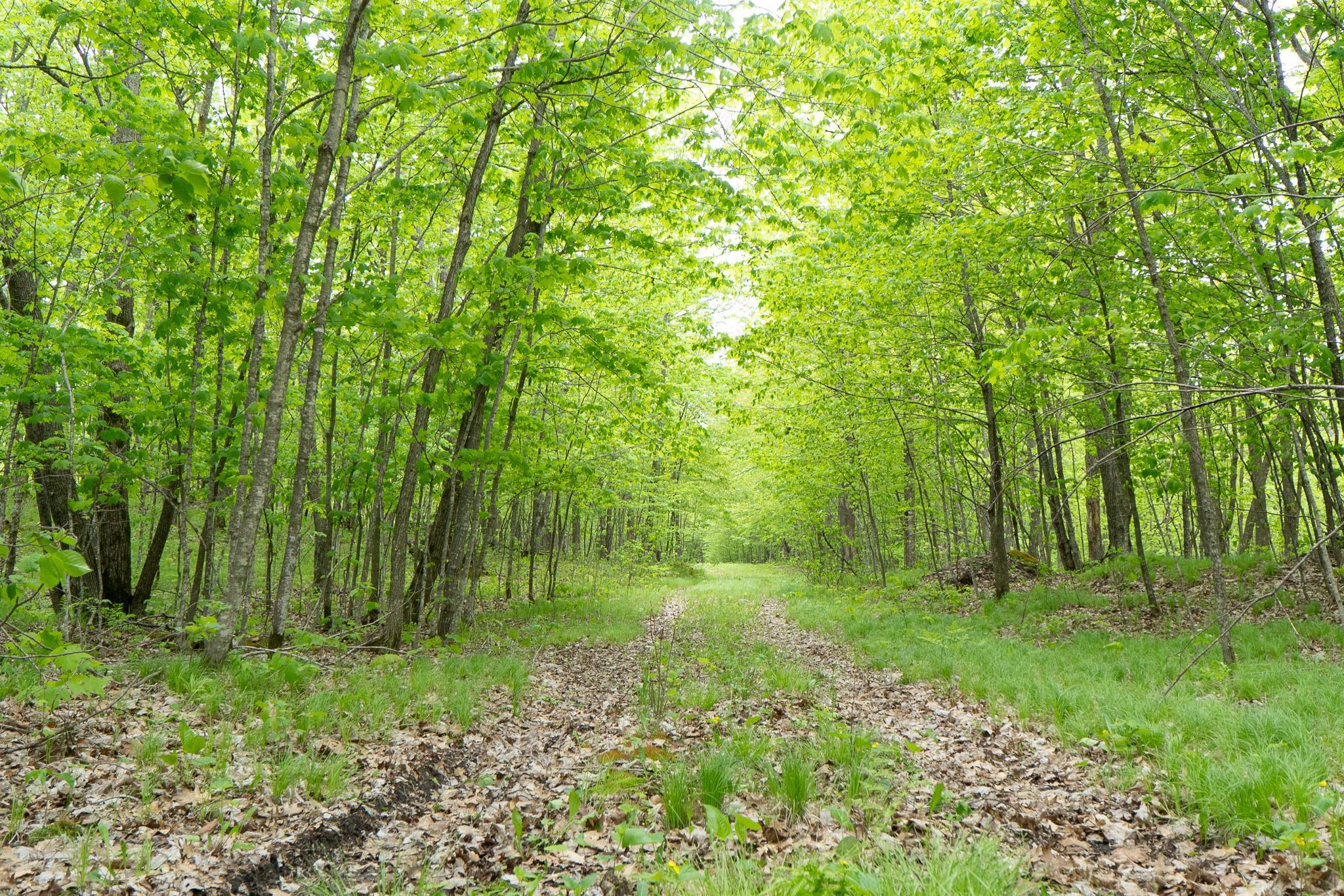 Tbd Tbd Knopf Road Rochert, MN 56578 - Photo 18 of 40