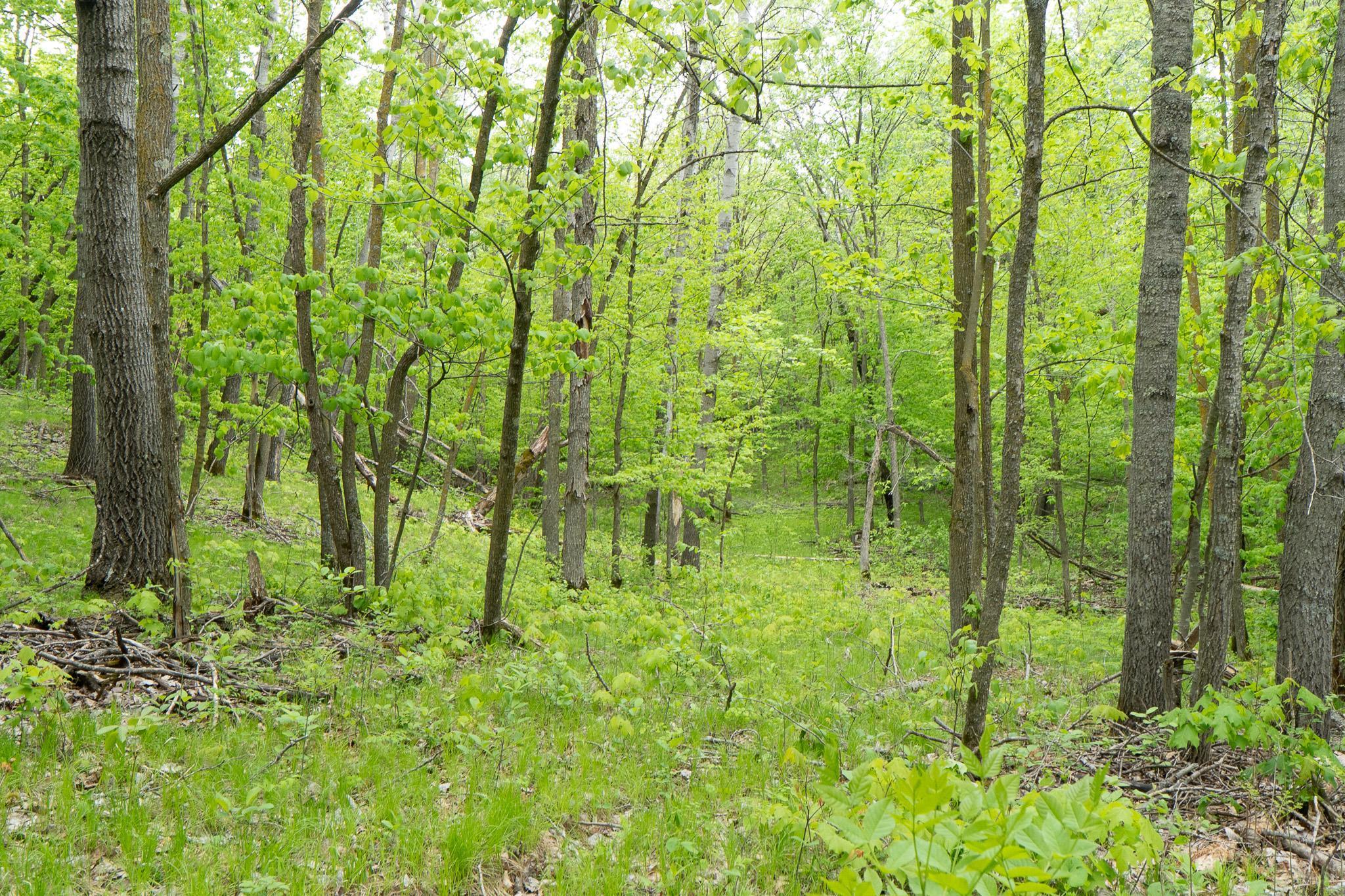 Tbd Tbd Knopf Road Rochert, MN 56578 - Photo 19 of 40